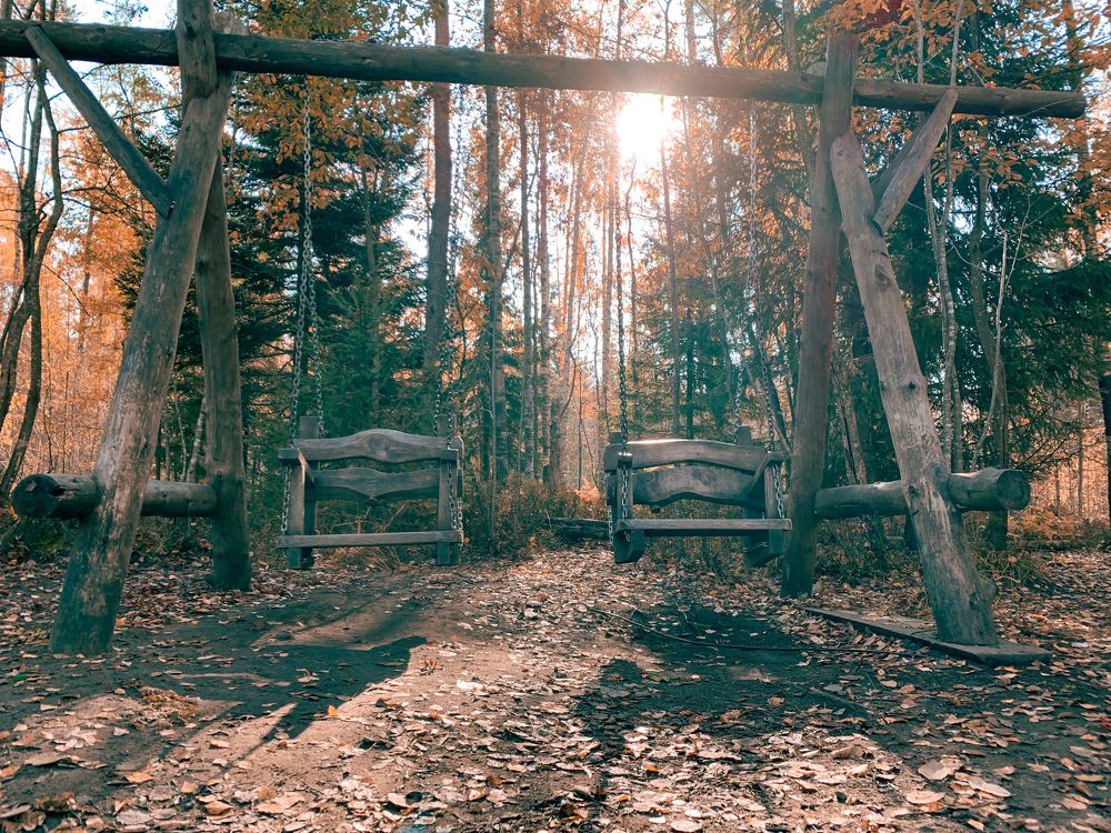 Утро в осеннем лесу