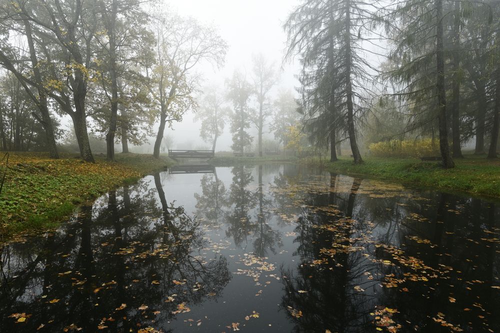 Photograph by Anatolijs Kivrins