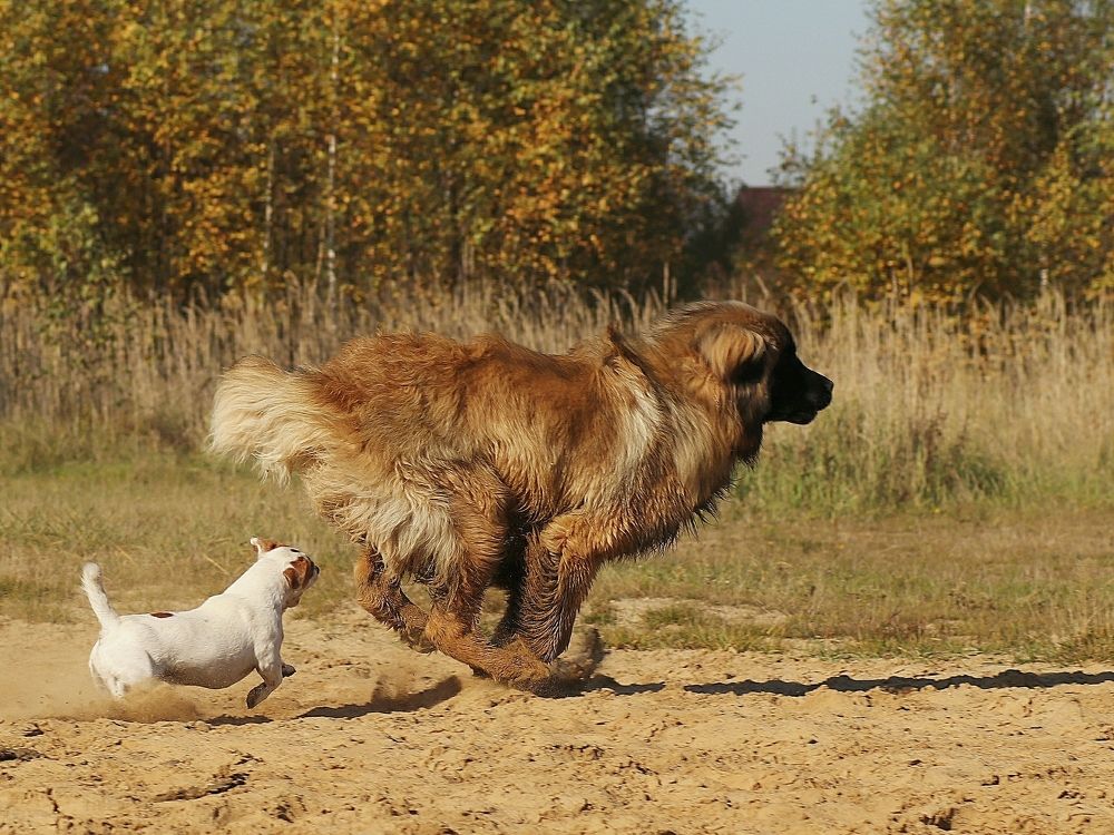 Photograph by Светлана Богомолова