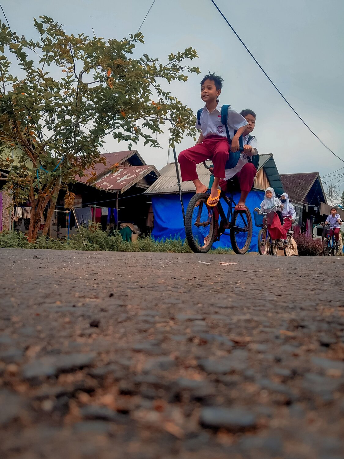 Photo #6645084