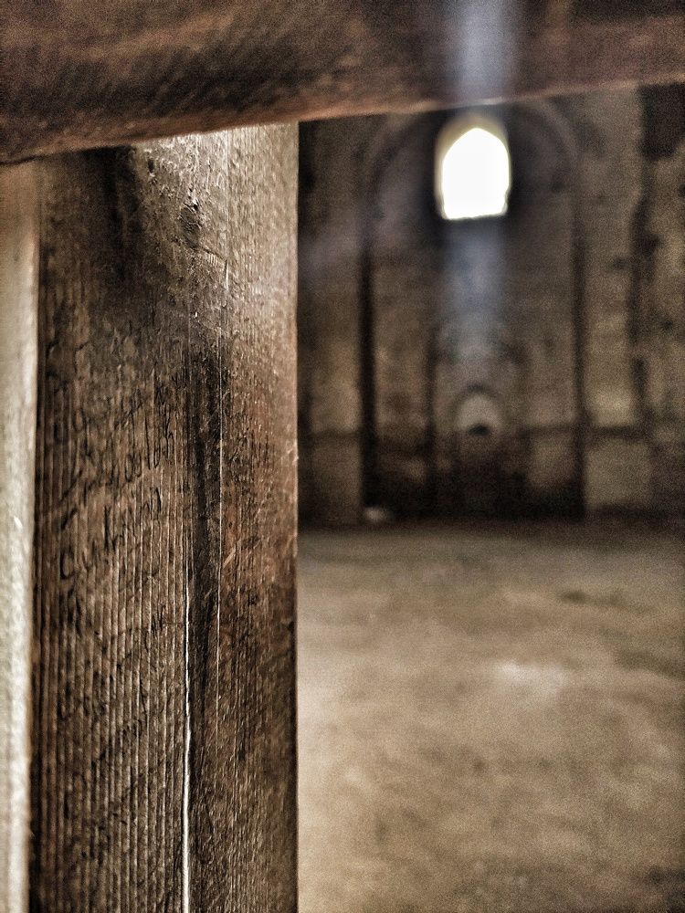 Photograph by Alina Saushkina