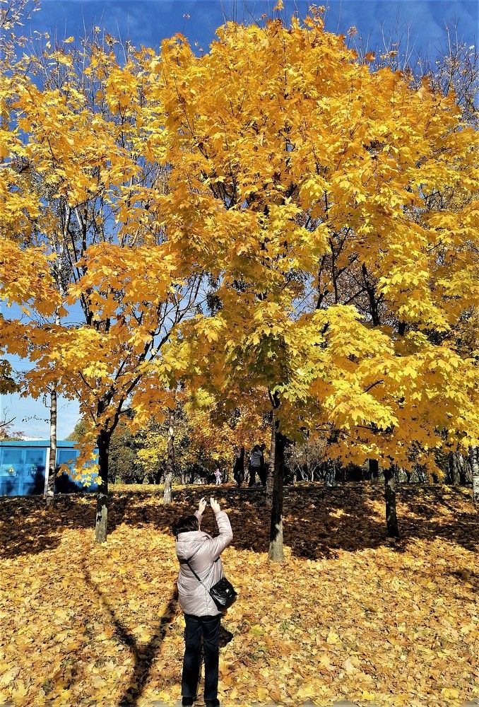 Photograph by Станислав Третьяков