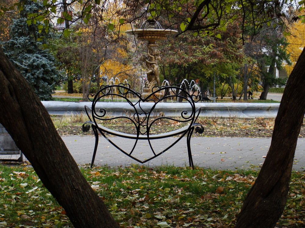 Photograph by olga Diakova