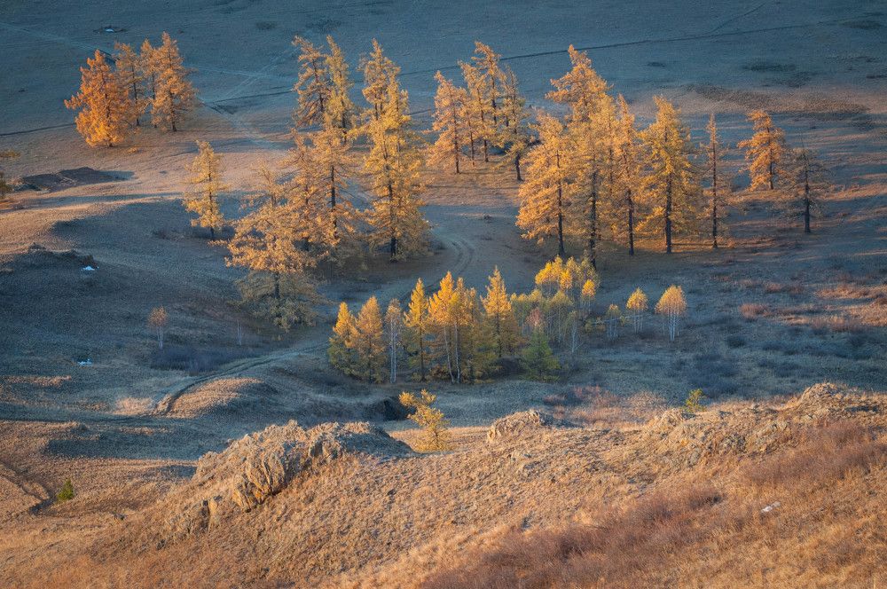 Photograph by Константин Степанов