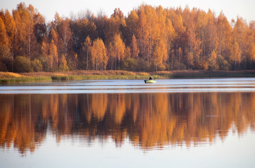 Photograph by Леонид Маркеев