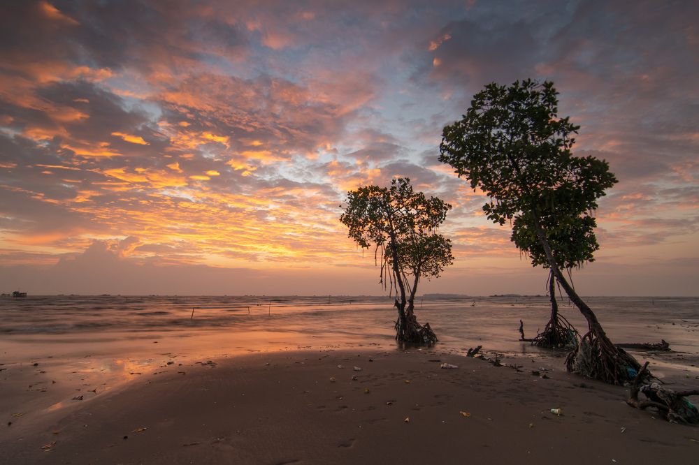 Photograph by Landscape Photography