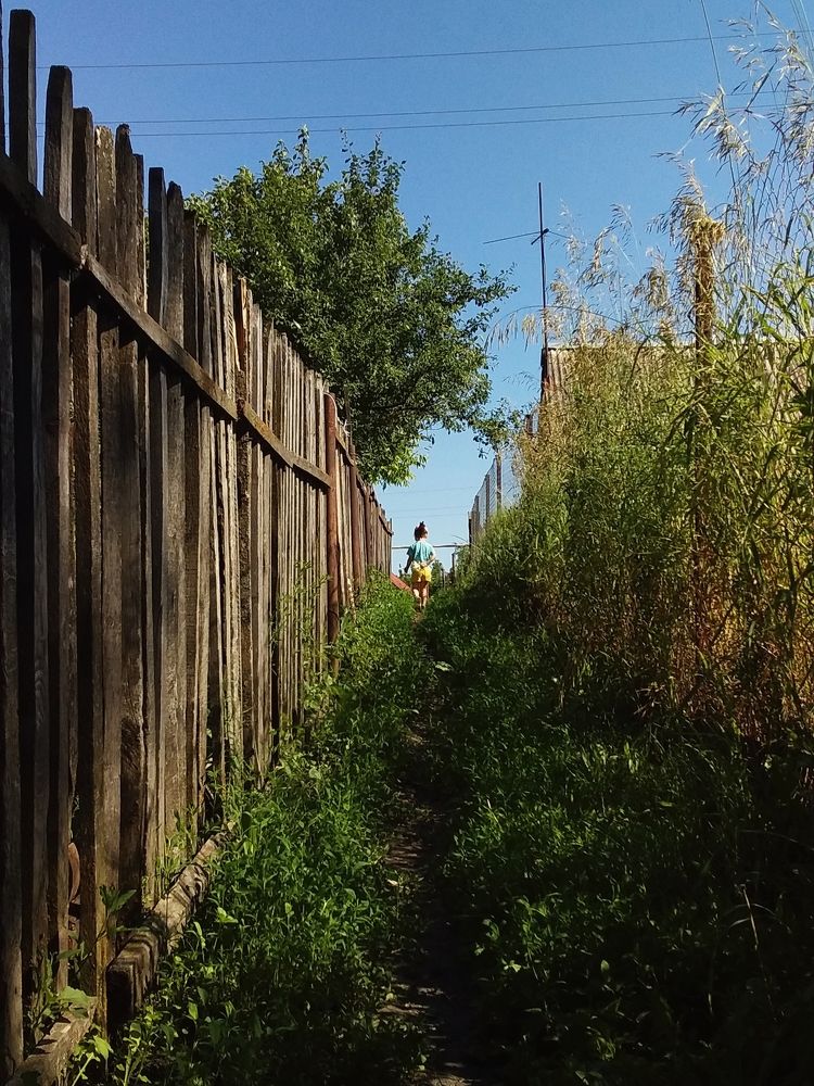 Photograph by Татьяна Аршинова