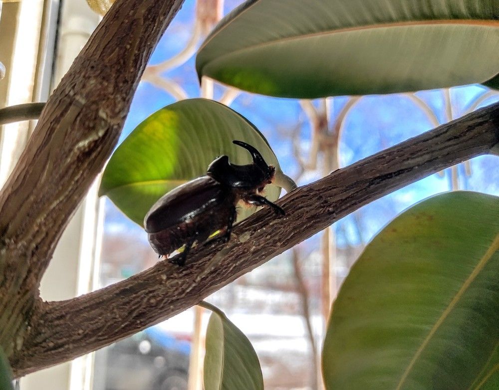 Photograph by Ирина Саттарова