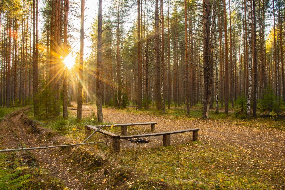 Photograph by  Максим