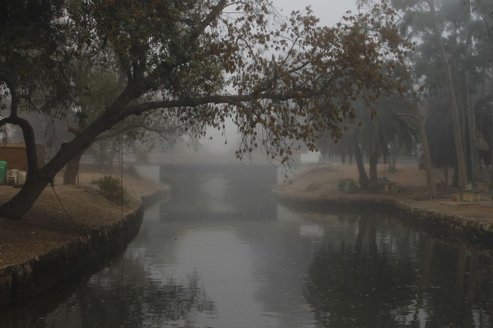 Photograph by Francisco Ferreira