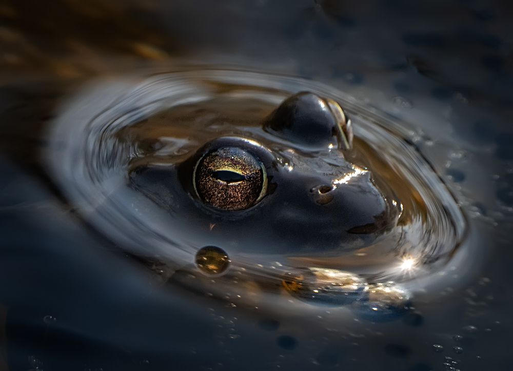 Photograph by Ольга Мусиенко