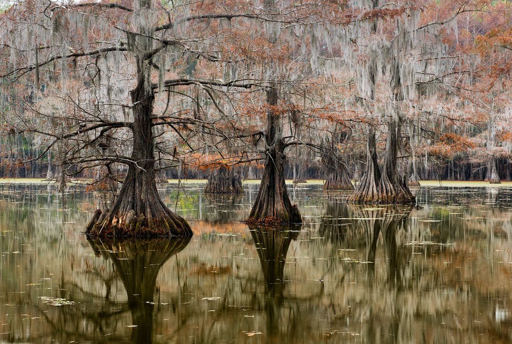 Фотография автора Alex Mimo