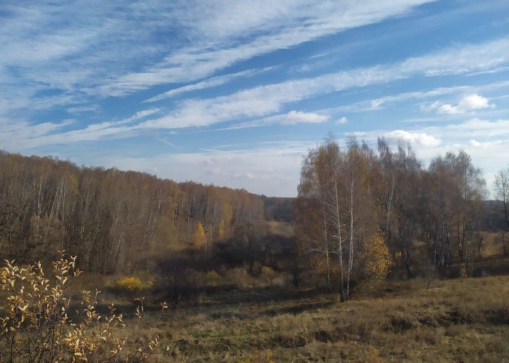 Photograph by Лидия Дорошина