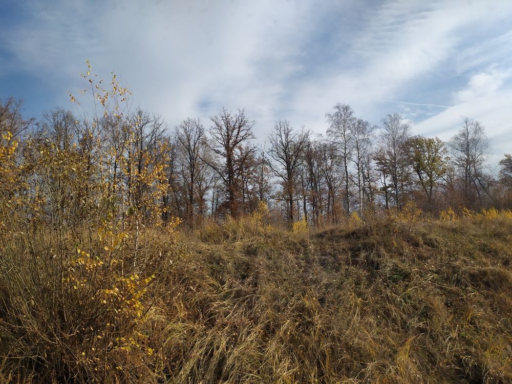 Photograph by Лидия Дорошина