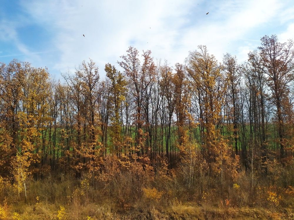 Photograph by Лидия Дорошина