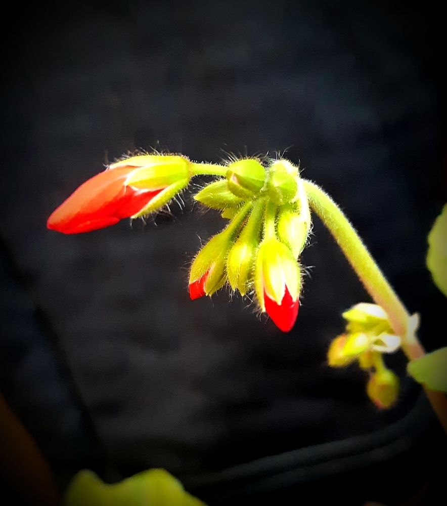 Фотография автора Ирина Лукьянчик