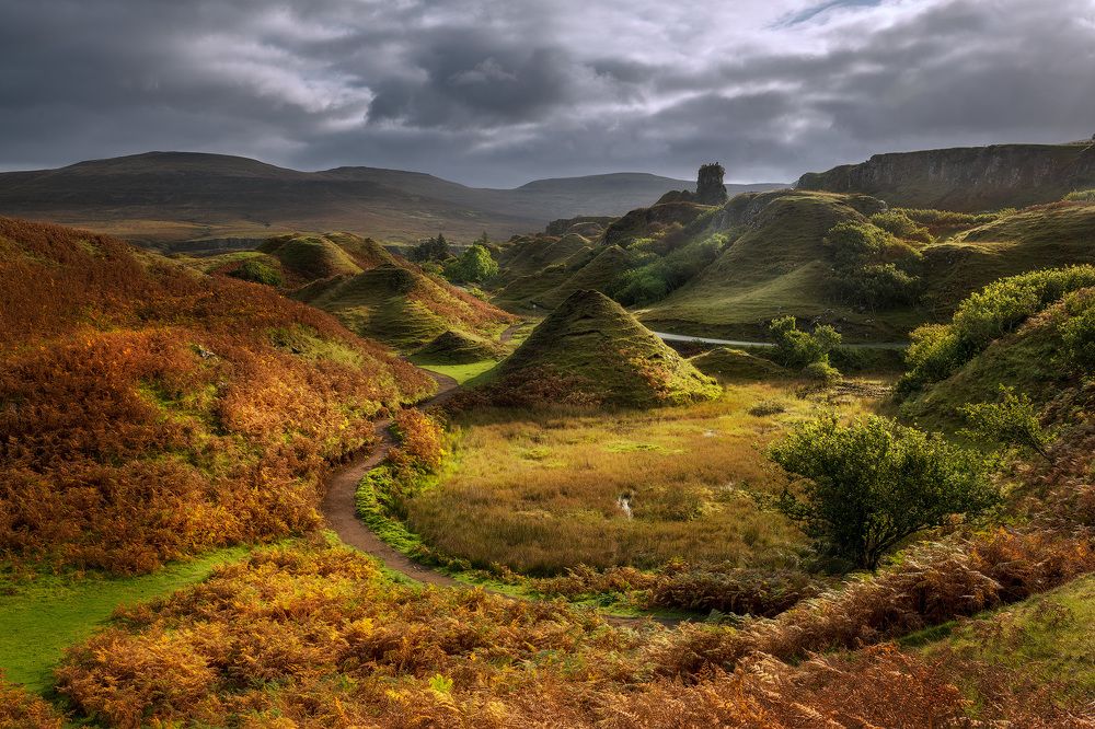 Фотография автора Alex Mimo