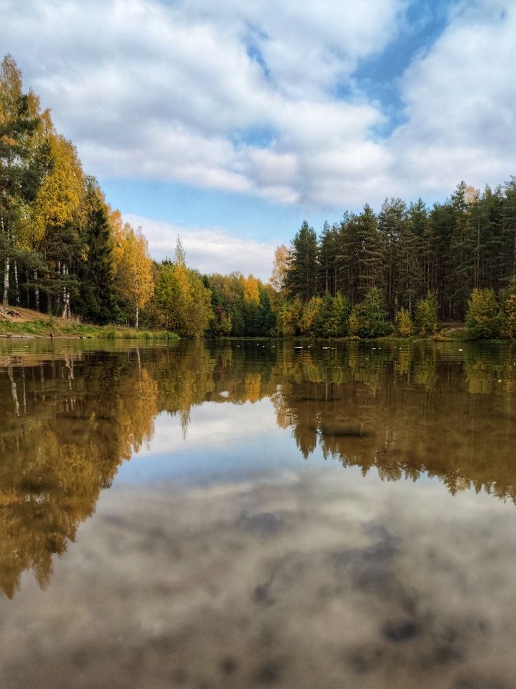 Золотая осень
