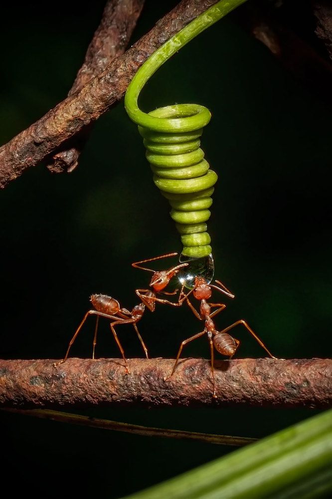 Photograph by Khor Wei Sin