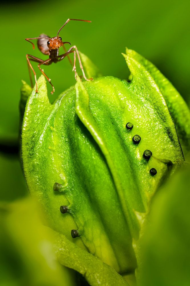 Photograph by Khor Wei Sin