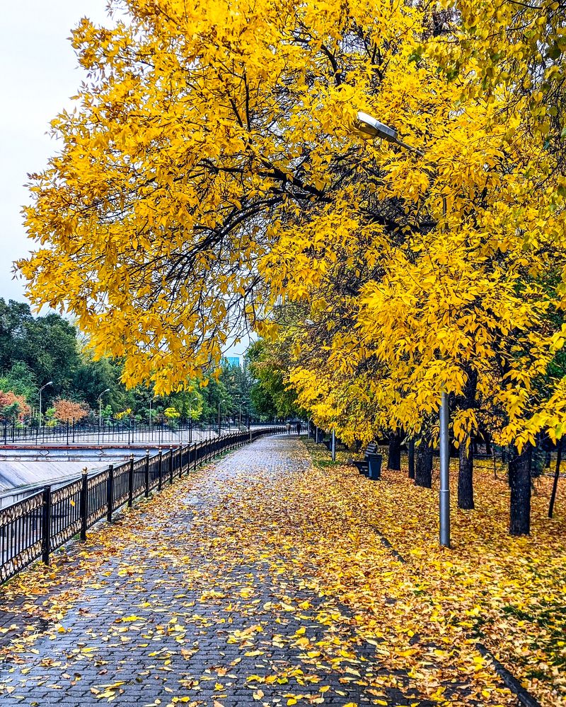 Photograph by Александра Милованова