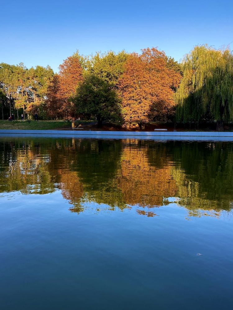 Photograph by Ольга Левенец