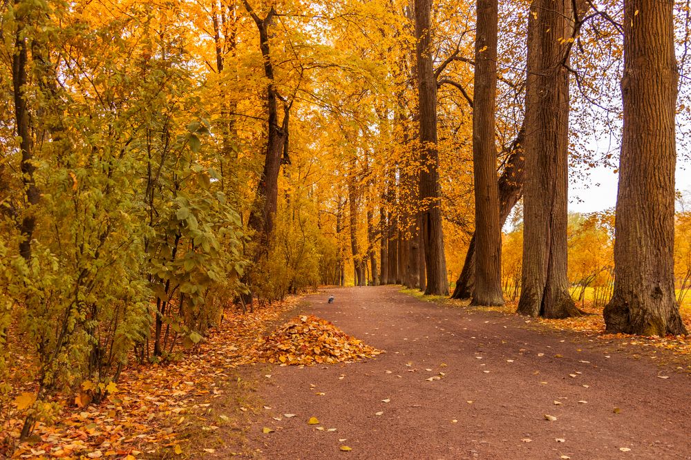 Photograph by Evgeniia Iakimenko