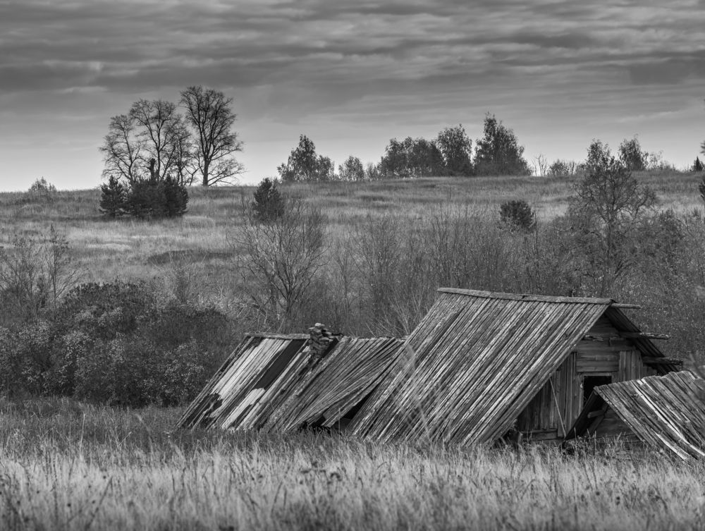 Фотография автора Виктор Руденко