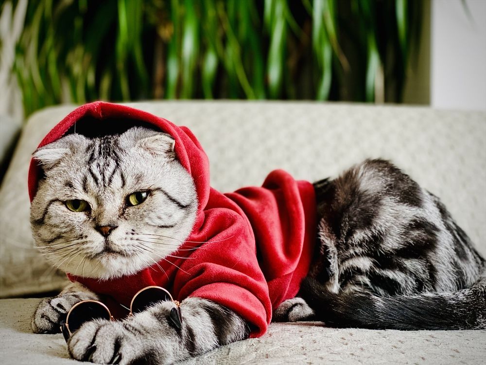 Photograph by Evgeniia Heißenhuber