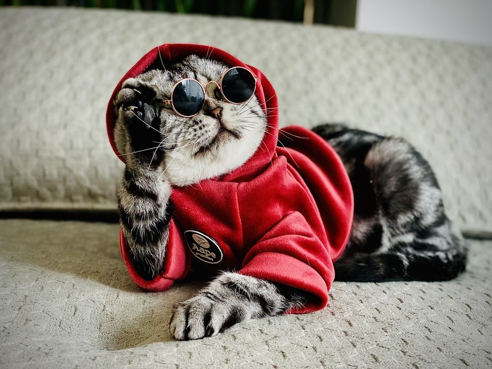 Photograph by Evgeniia Heißenhuber