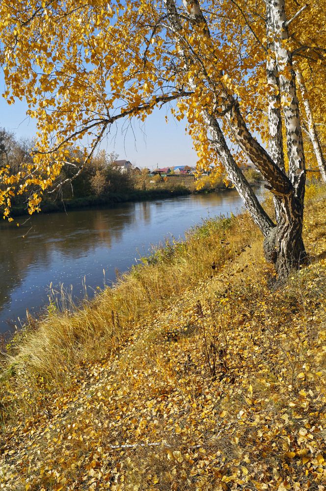 Золотая осень.