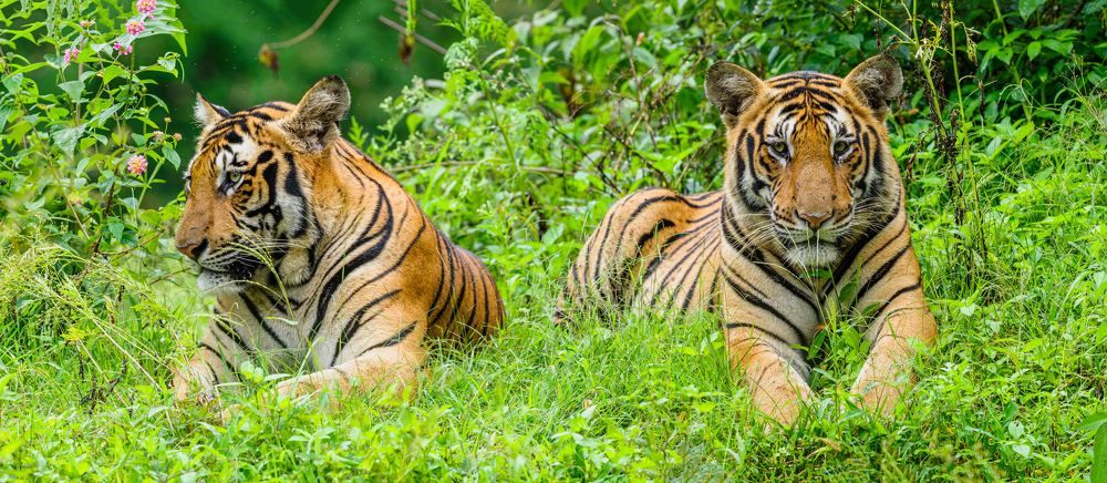 Photograph by Venkat Mangudi