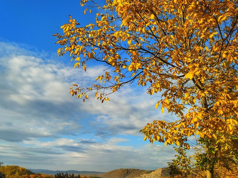 Photograph by Ana Bakic