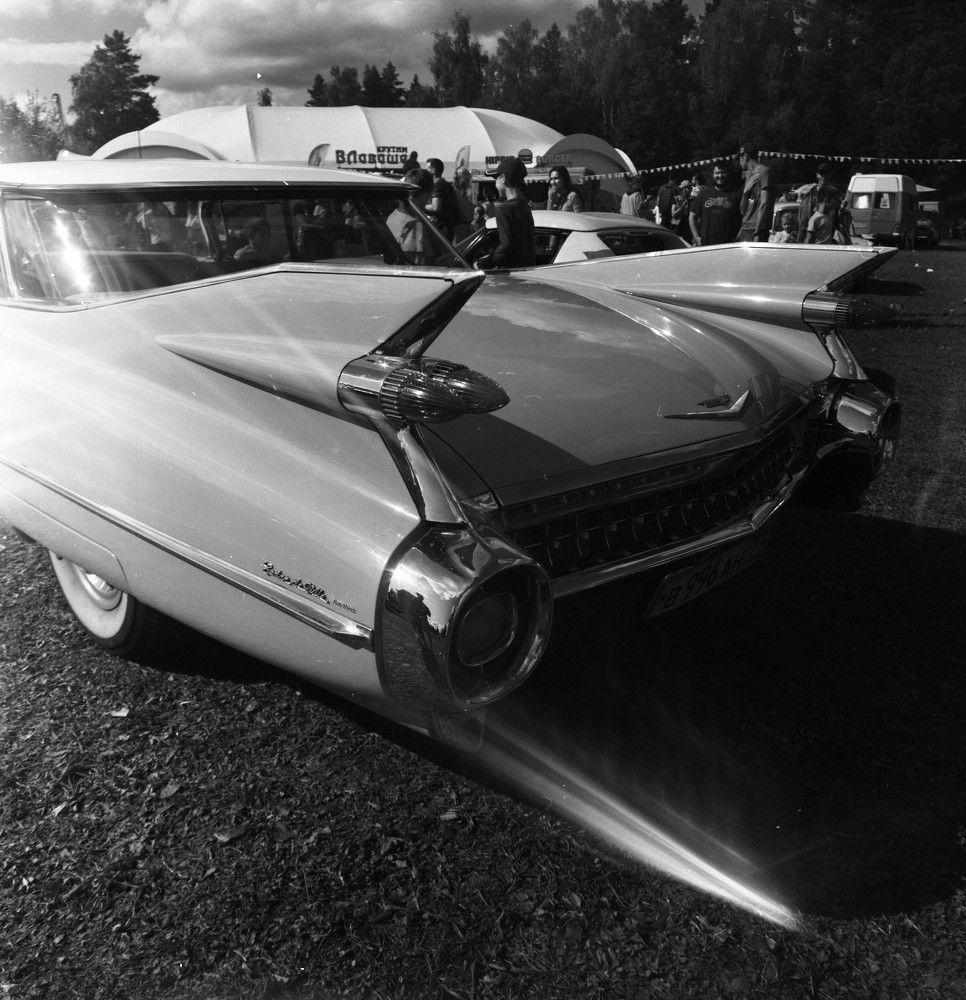 Photograph by Геннадий Балабонов