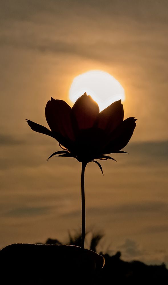 Photograph by Shekina Mie Miguel