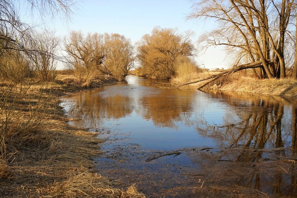 Photograph by Анастасия