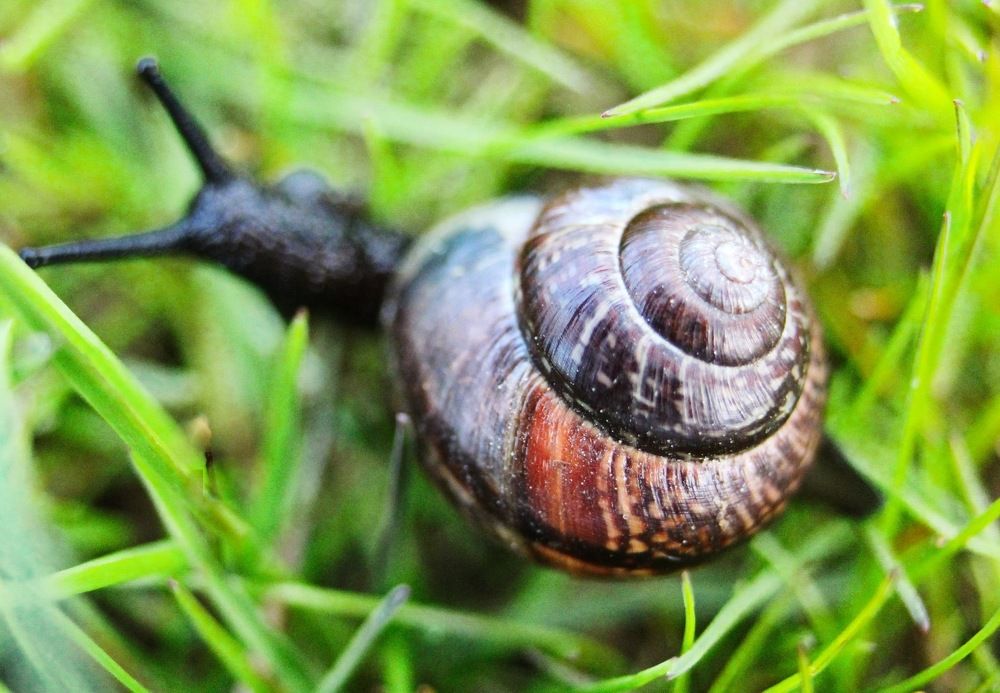 Photograph by Inga Dreger