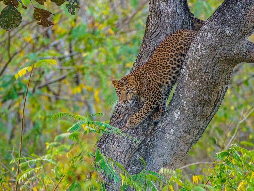 Photograph by Venkat Mangudi