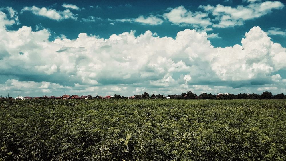 Photograph by Алёна Бондаренко