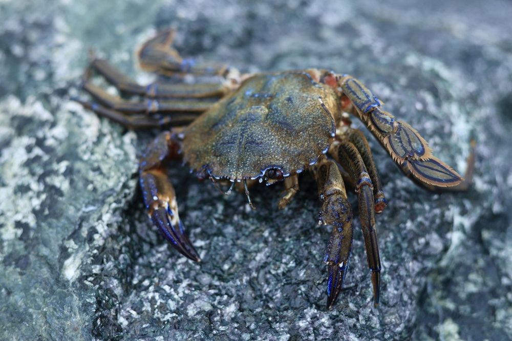 Photograph by Inga Dreger