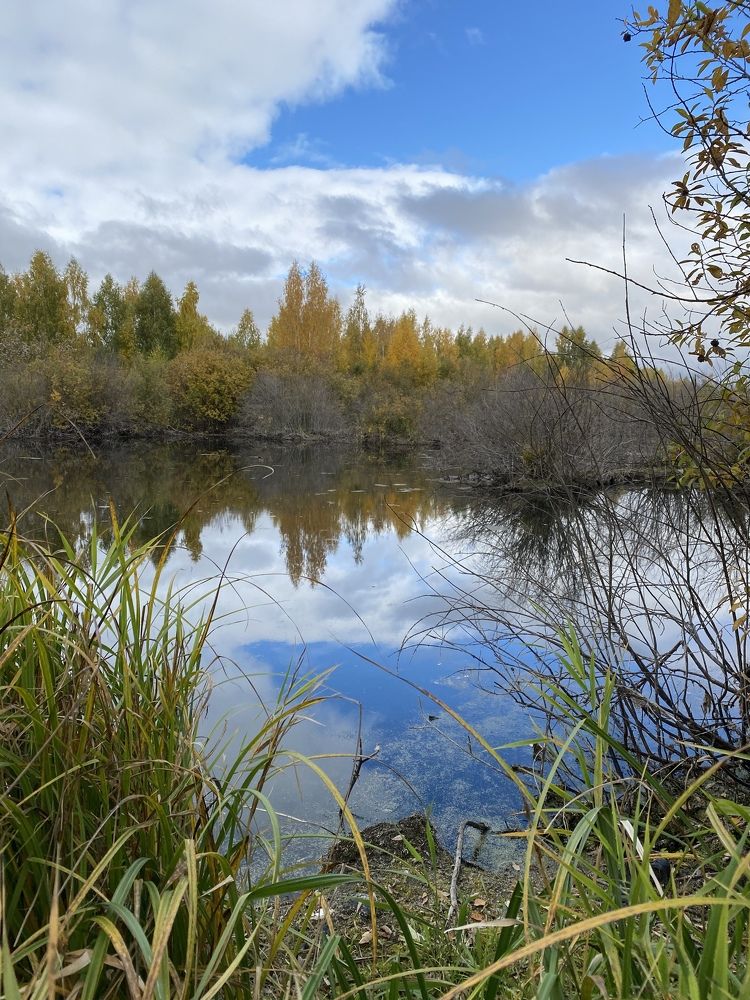 Photograph by Мария Титова