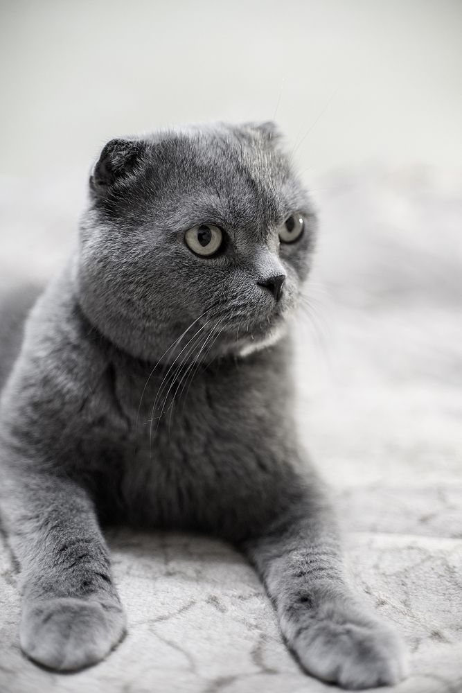 Photograph by Карина Полякова