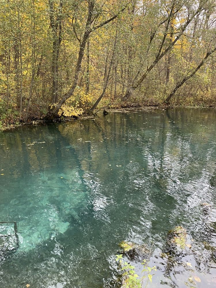 Photograph by Мария Титова