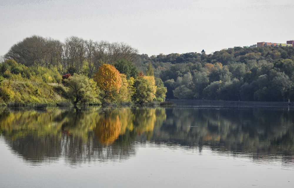 Photograph by Юлия Лис-а