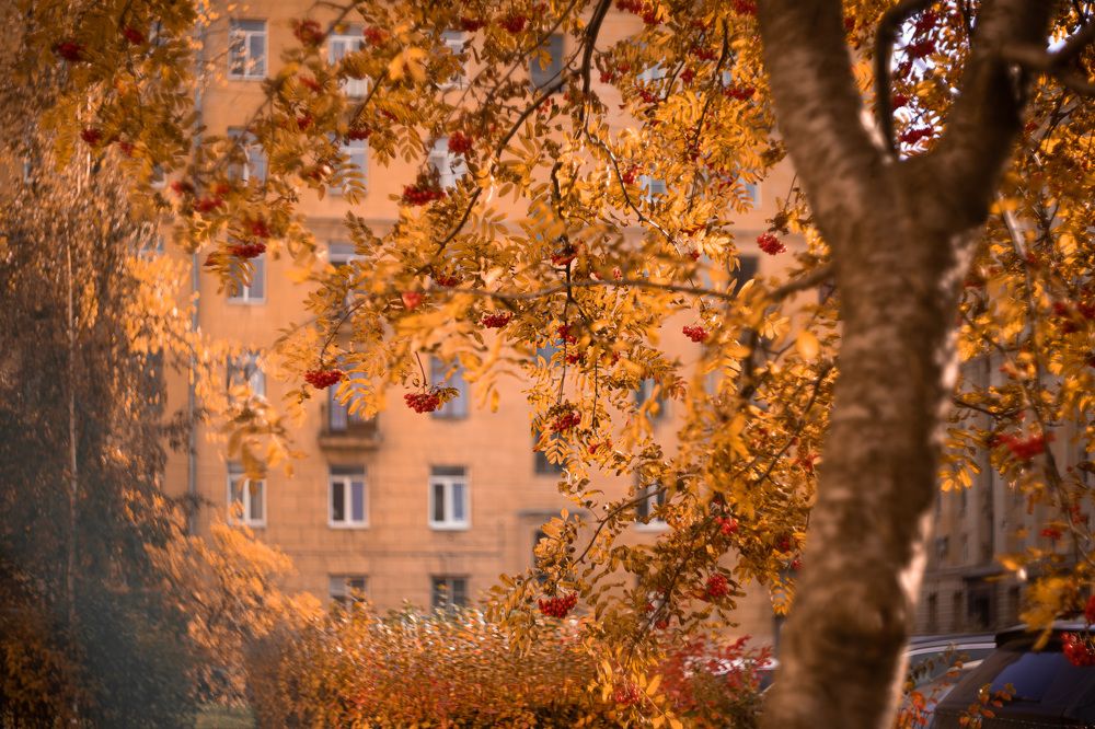 Photograph by Юлия Ильина