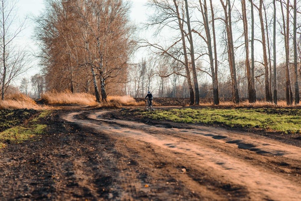 Photograph by Анатолий Мосяков