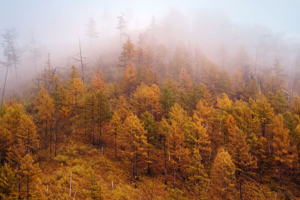 Photograph by Ирина Щеглова