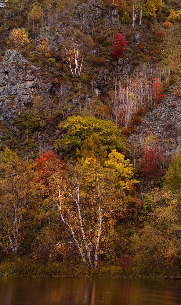 Photograph by Ирина Щеглова