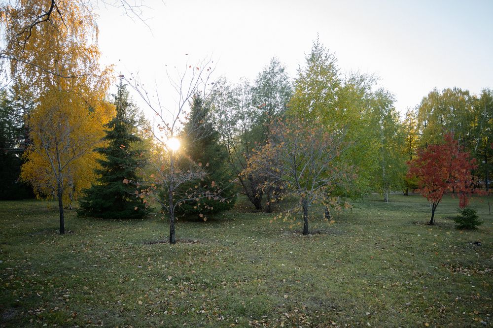 Краски осени