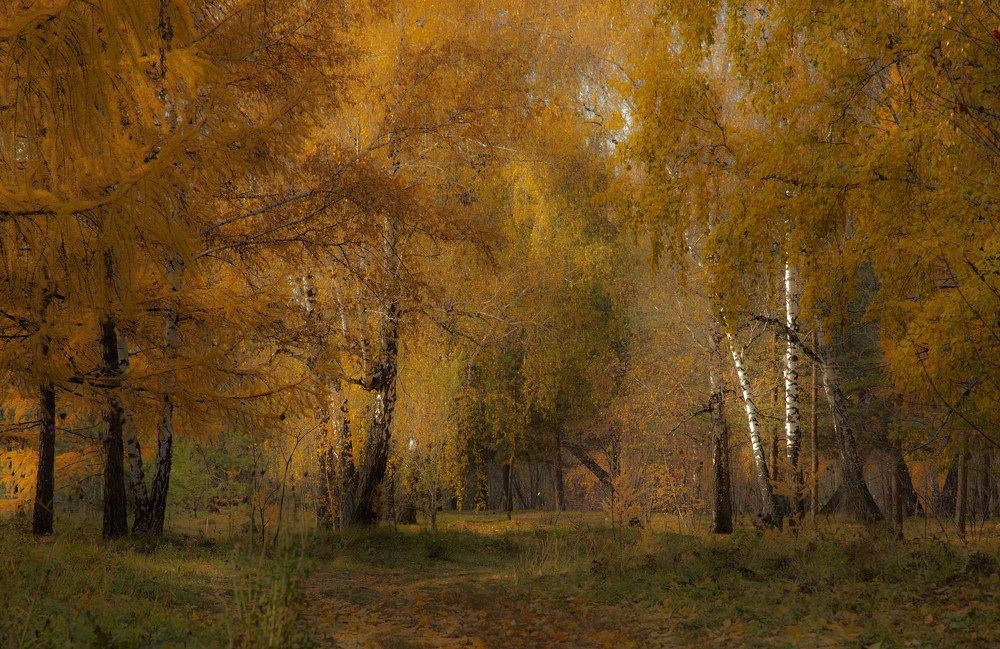 Photograph by Владимир Ануфриенко